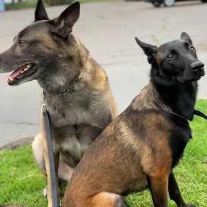 Meet your Posher, Staci